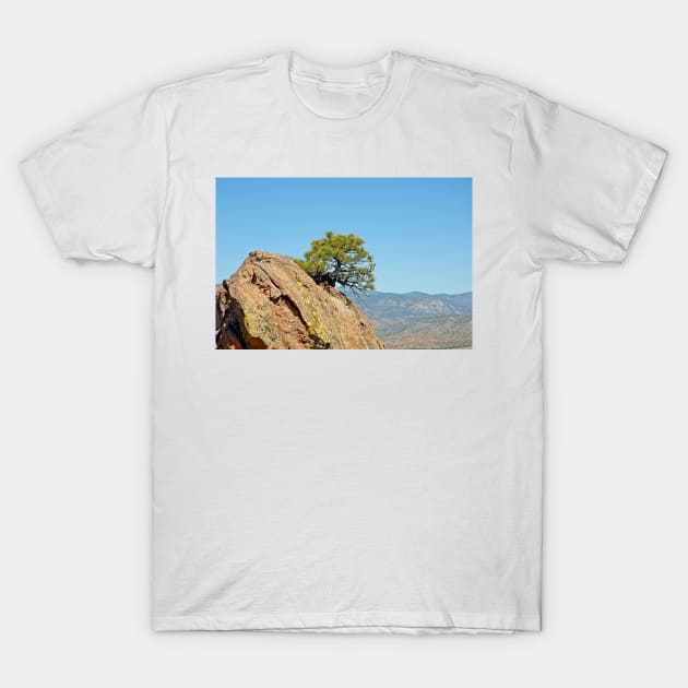 Shrub and Rock at Canon City T-Shirt by bobmeyers